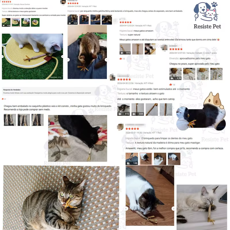 Brinquedo de Madeira para Gatos com Bastão de Dentição e Mastigador Natural para Cuidados Dentários