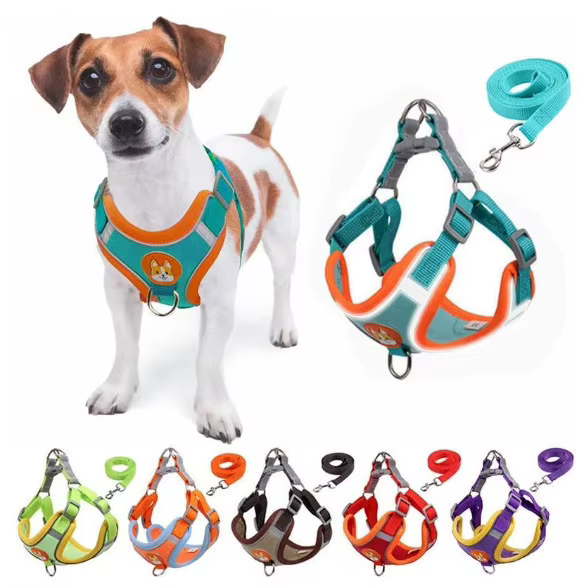 Colete para Cães e Gatos Ajustável, Confortável e Seguro para Passeios, Corridas e Treinamento Diário
